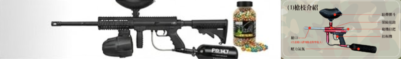 槍枝與彈丸介紹