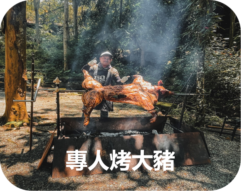 烤大豬